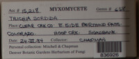 Image Associated With the Occurence